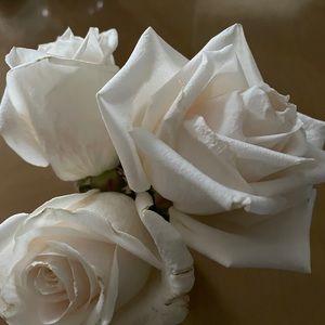 Meet your Posher, Rhonda